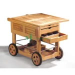 trolley butterfly 1 1.jpg 1